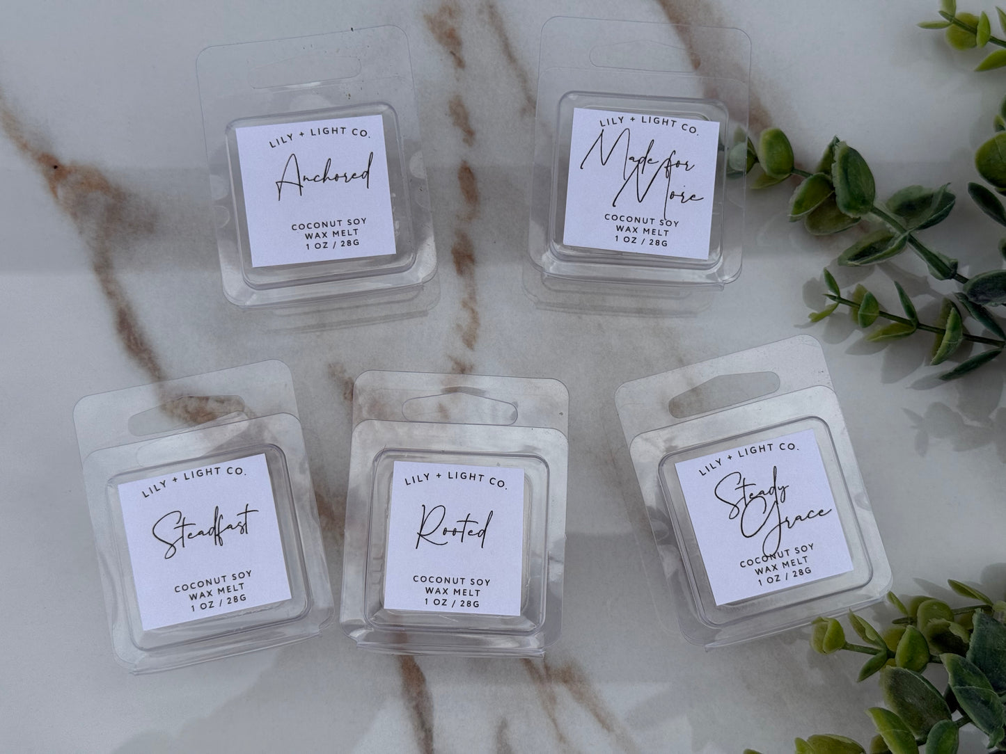 The Signature Sampler
