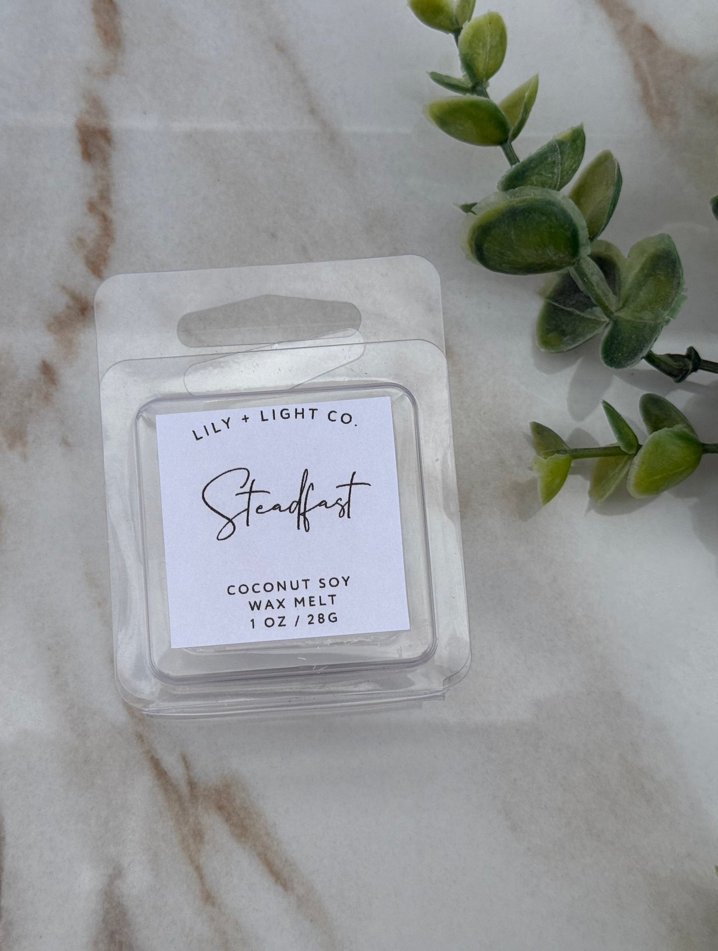 Steadfast Wax Melt Sample