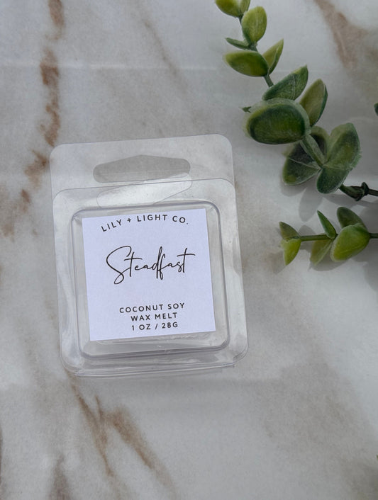 Steadfast Wax Melt Sample